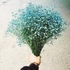 虫哥