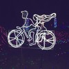 花前月下樽芳酒