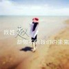 菲比