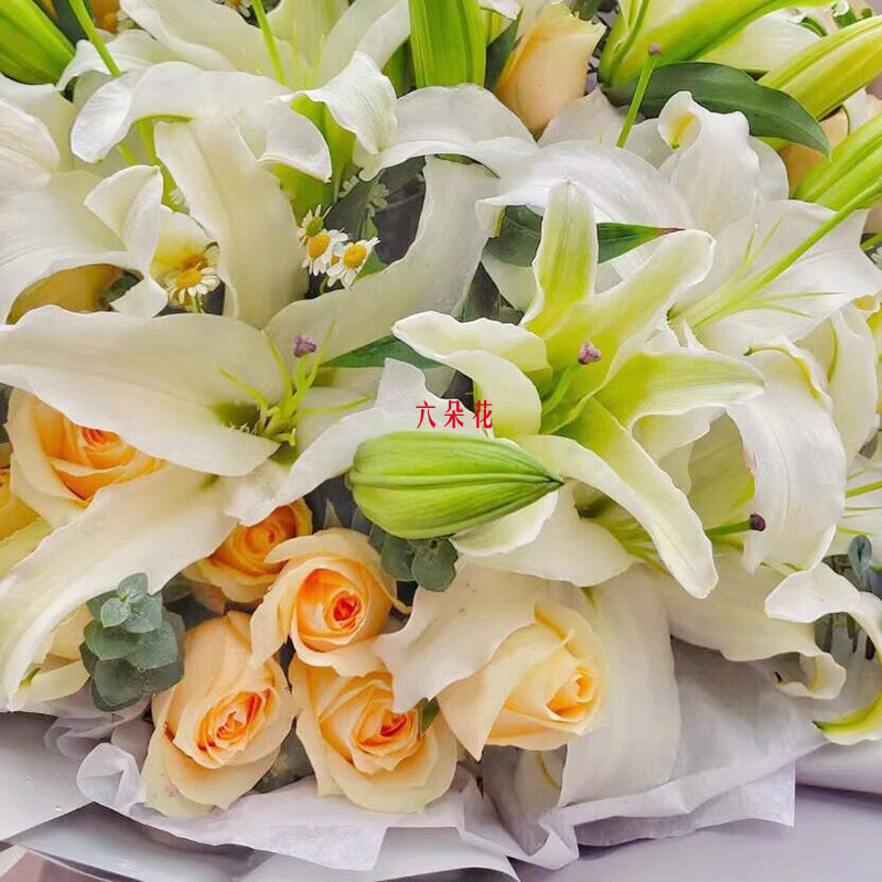 19朵香槟玫瑰百合，温暖你的心灵