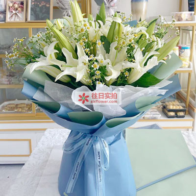株洲8支白色多头百合洋甘菊,互倾的思念