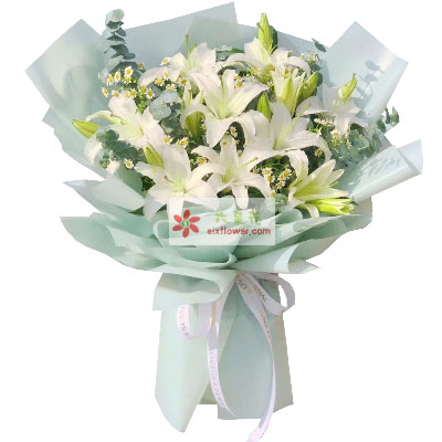 株洲6支白色多头百合，温馨的祝福