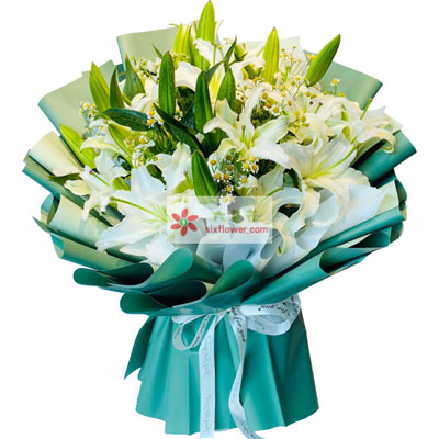 株洲8支白色多头百合洋甘菊，如潮的思念
