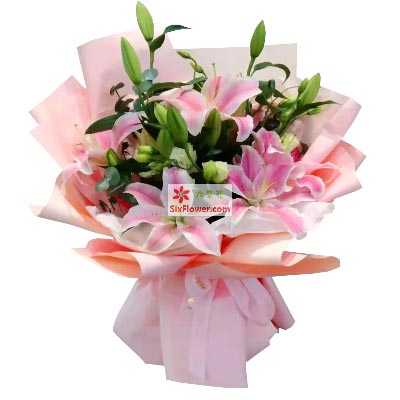 株洲6支粉色多头百合，祝你人生得意