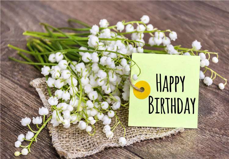 好朋友过生日，生日祝福语怎么说？